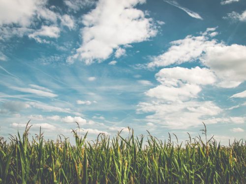 The Health Benefits of Cleaner Air
